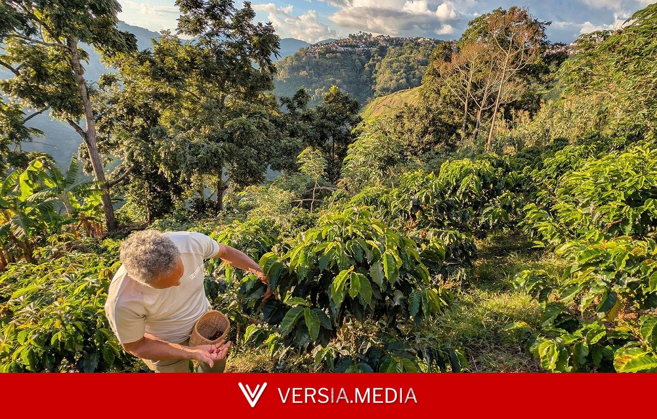 En Colombie, reliefs escarpés et villages colorés racontent la culture du café